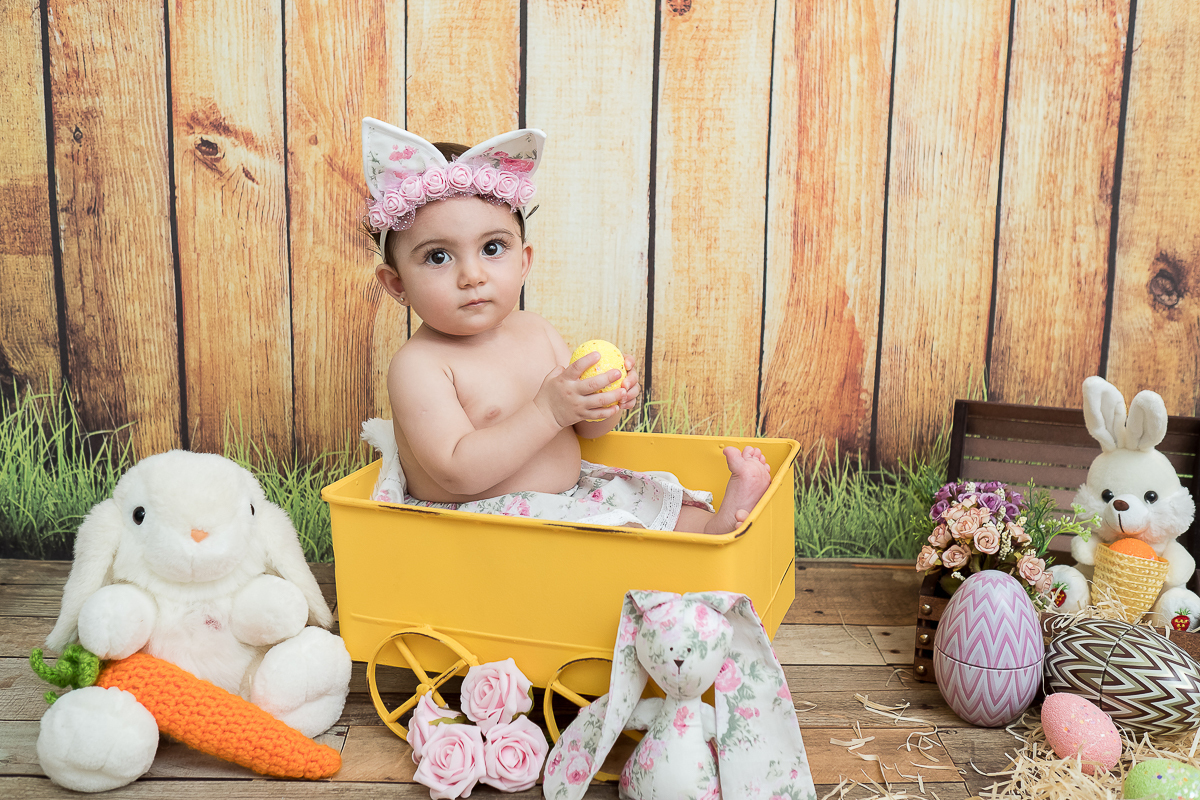 Genteee, parece que foi ontem que fizemos a sessão Newborn da Rafaela
E esse mês a princesinha completou 9 meses !!!!E quem resiste a toda essa fofura?   

