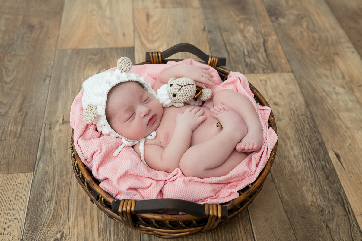 A Eloah é uma bonequinha que tivemos o prazer de fazer sua sessão newborn, com 8 dias de vida, ficou uma doçura. Ela é toda linda e delicada, dona dessas bochechas mais fofas que nos deixou completamente apaixonados     