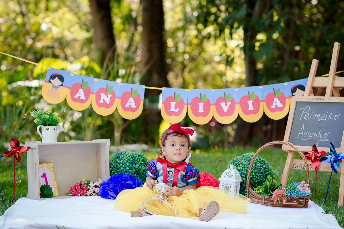 Para o smash the cake, a mamãe escolheu o tema da Branca de Neve, que foi o mesmo da festinha dela.

A mamãe Bianca preparou um bolo bem colorido para Ana Lívia se deliciar na sua sessão de fotos

E foi um dia de muita bagunça no parque