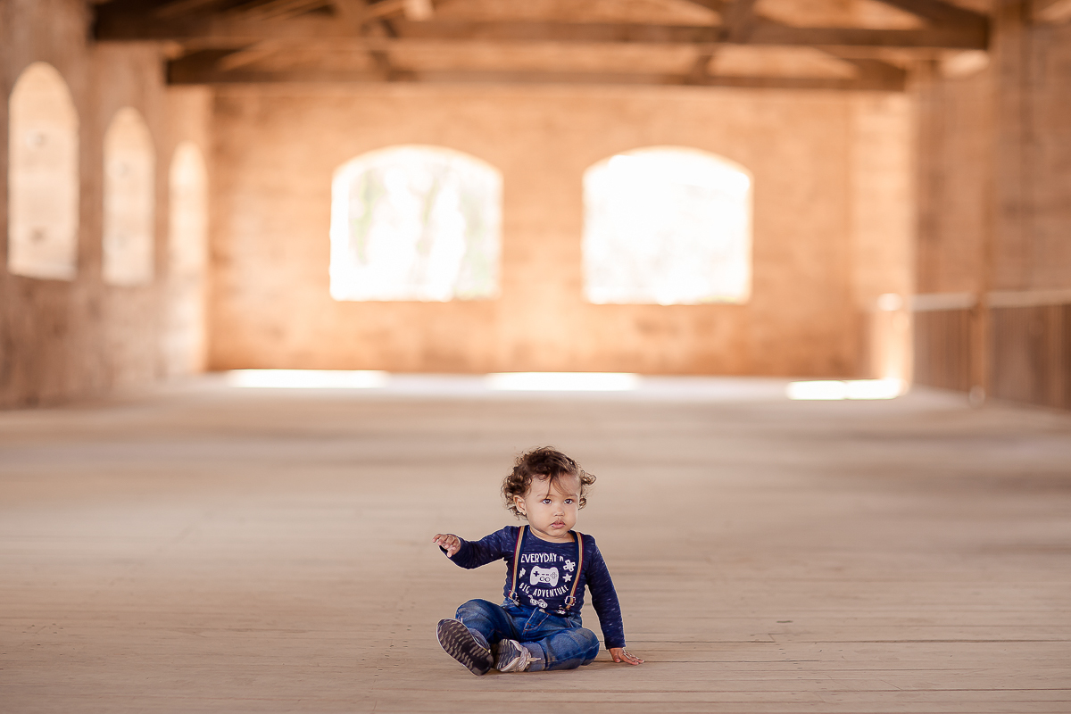 Depois de um ano conosco chegou ao fim o acompanhamento do Vicente e nada melhor para comemorar o 1º aninho com muita bagunça e um bolo

O Vi é menininho muito esperto...e essa cabeça cheia de cachinhos?? <3 <3 