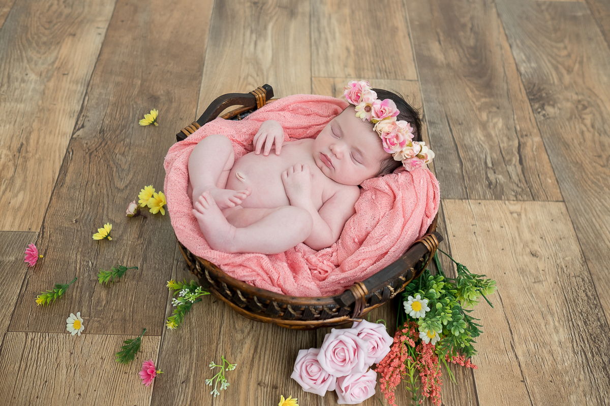 Chegou a hora da bonequinha Júlia derreter nossos corações aqui no site!!!

Com 15 dias de puro charme, Júlia foi uma doçura de bebê, conseguimos fazer várias poses fofas e imagens lindasssss <3