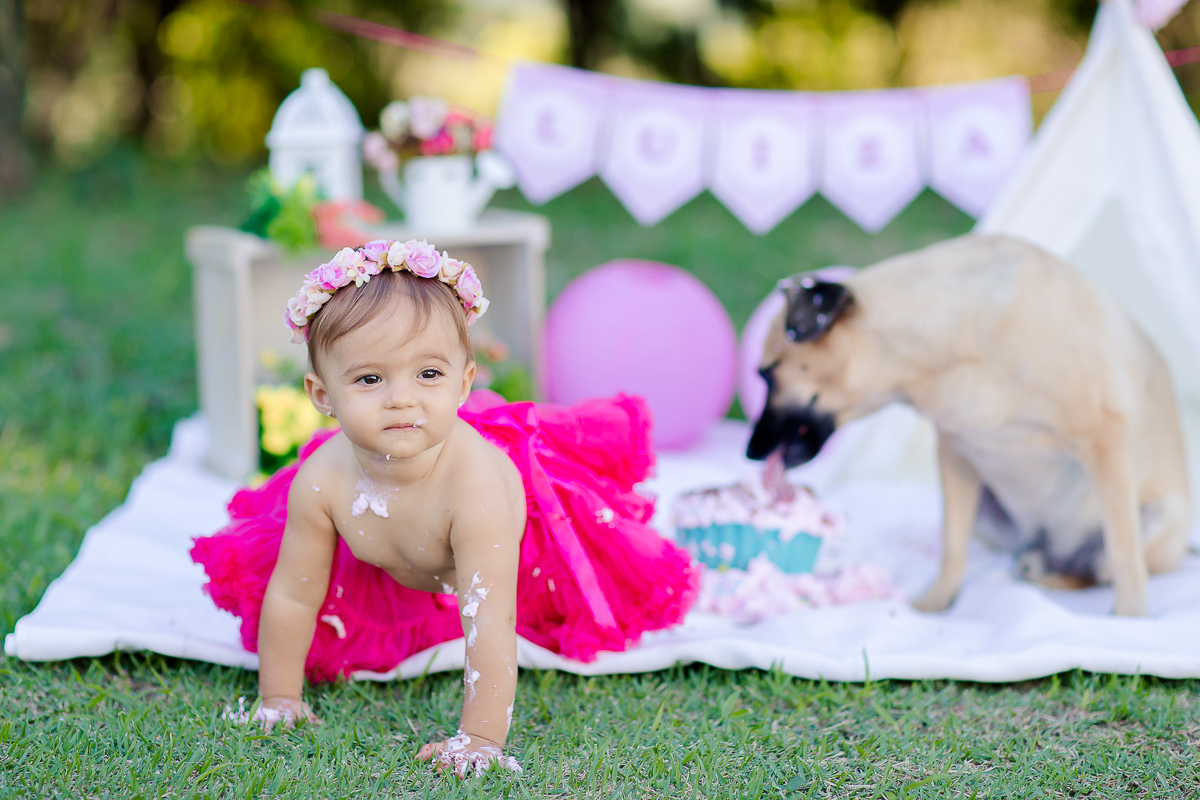 a Luiza completou seu 1º aninho, e encerramos seu acompanhamento  com um lindo smash the cake que teve a participação especial do Duque de Wellington o filhote de 4 patas ❤
A Luiza adorou se melecar, o Duque então nem se fale queria devorar o bolo