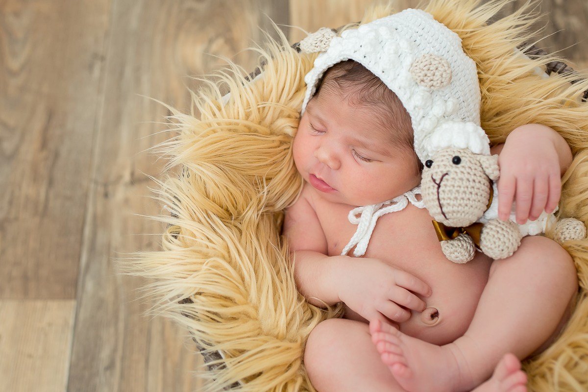 Como resistir a tanta fofura??? A Olivia é aquela bebê que todo fotógrafo de newborn sonha: super tranquila gordinha e calminha 

A linda Olivia veio ter seu dia de modelo aqui no estúdio, com seus  primeiros dias.

9 dias de muitas bochechas