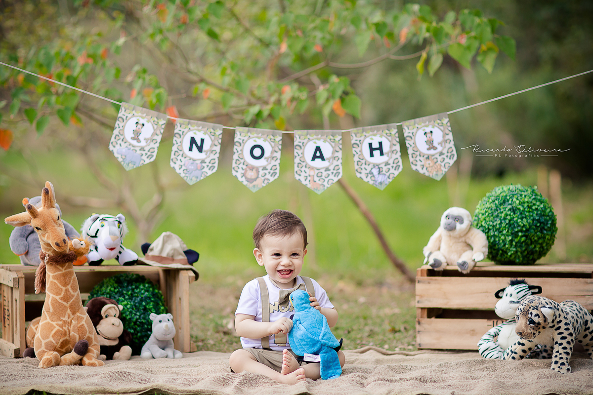 Com o cenario pronto Noah todo feliz com a arara de pelucia