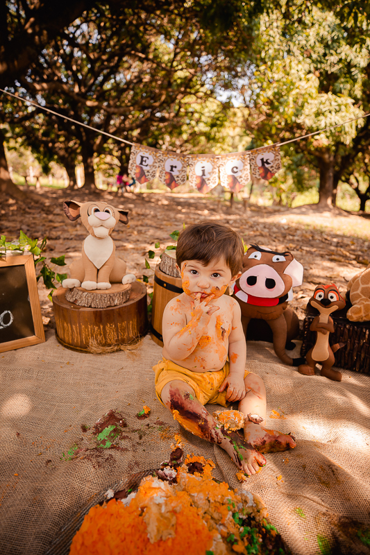 O primeiro aninho do Erick chegou!
E a hora de fazer essa sessão maravilhosa para comemorar também!
O smash the cake é uma delicia...o tema escolhido pelo papai e mamãe foi rei leão e o resultado foi encantador, uma lembrança linda dessa bagunça deliciosa
