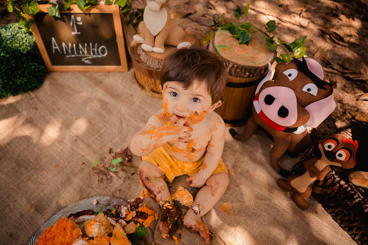 O primeiro aninho do Erick chegou!
E a hora de fazer essa sessão maravilhosa para comemorar também!
O smash the cake é uma delicia...o tema escolhido pelo papai e mamãe foi rei leão e o resultado foi encantador, uma lembrança linda dessa bagunça deliciosa