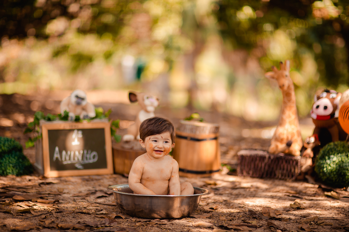O primeiro aninho do Erick chegou!
E a hora de fazer essa sessão maravilhosa para comemorar também!
O smash the cake é uma delicia...o tema escolhido pelo papai e mamãe foi rei leão e o resultado foi encantador, uma lembrança linda dessa bagunça deliciosa