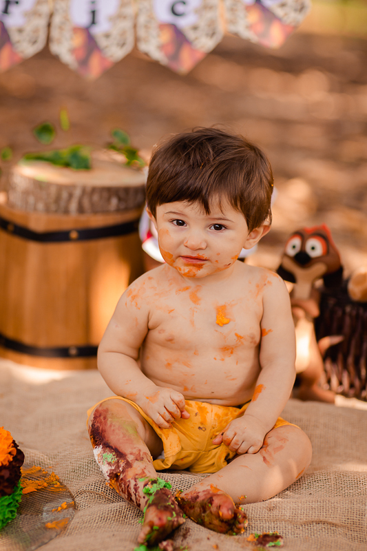 O primeiro aninho do Erick chegou!
E a hora de fazer essa sessão maravilhosa para comemorar também!
O smash the cake é uma delicia...o tema escolhido pelo papai e mamãe foi rei leão e o resultado foi encantador, uma lembrança linda dessa bagunça deliciosa