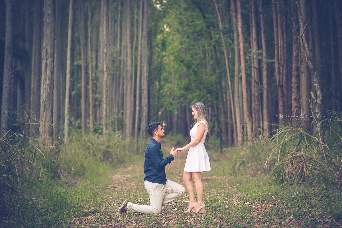Noivo de joelho se declarando para a amada