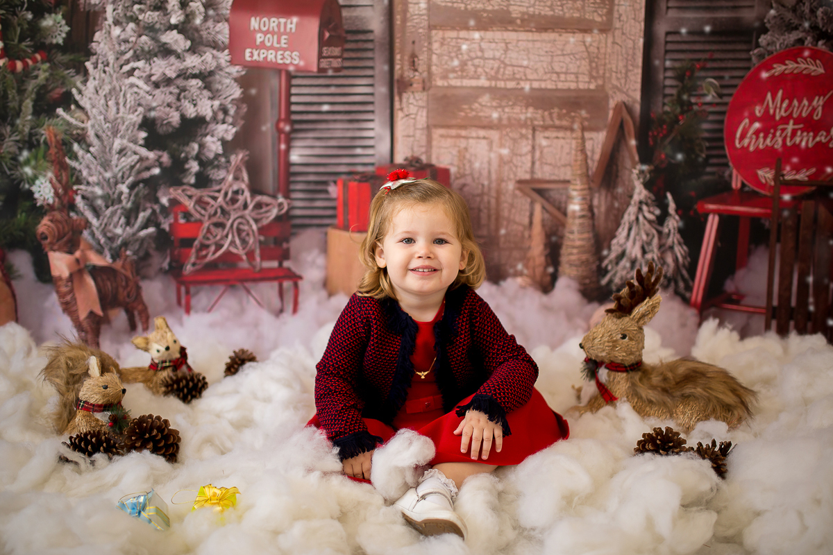 Natal 2019 Ana Clara