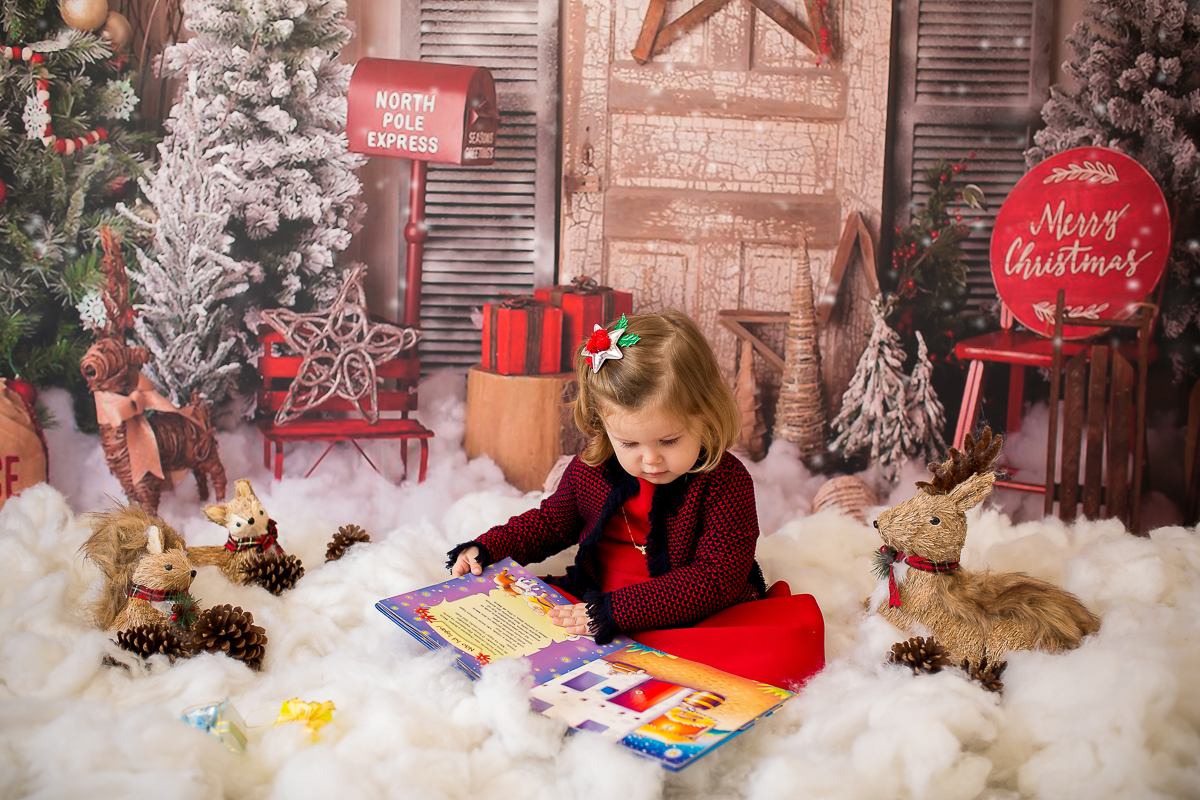 Natal 2019 Ana Clara