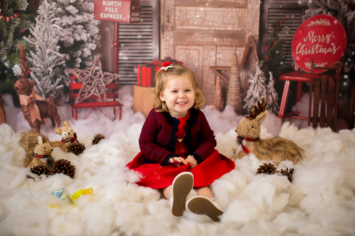 Natal 2019 Ana Clara