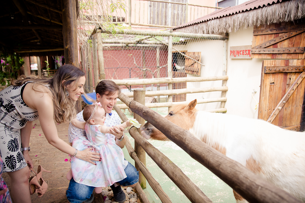 Dando comida para os bichinhos