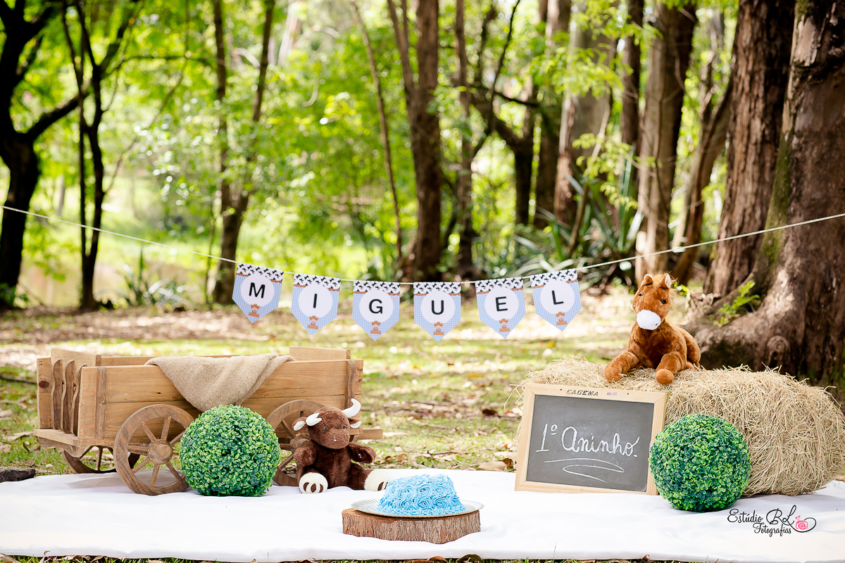 decoração fazendinha para smash the cake