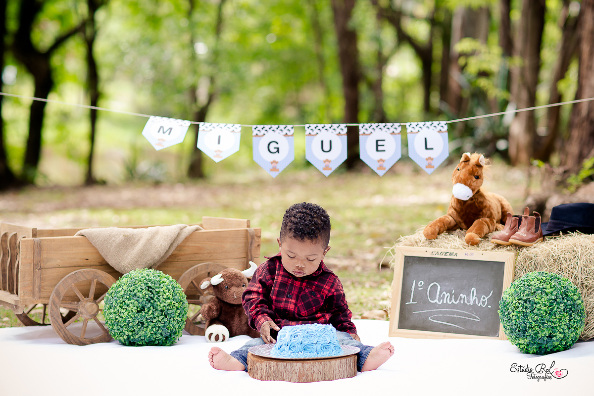 hora de brincar com o bolo