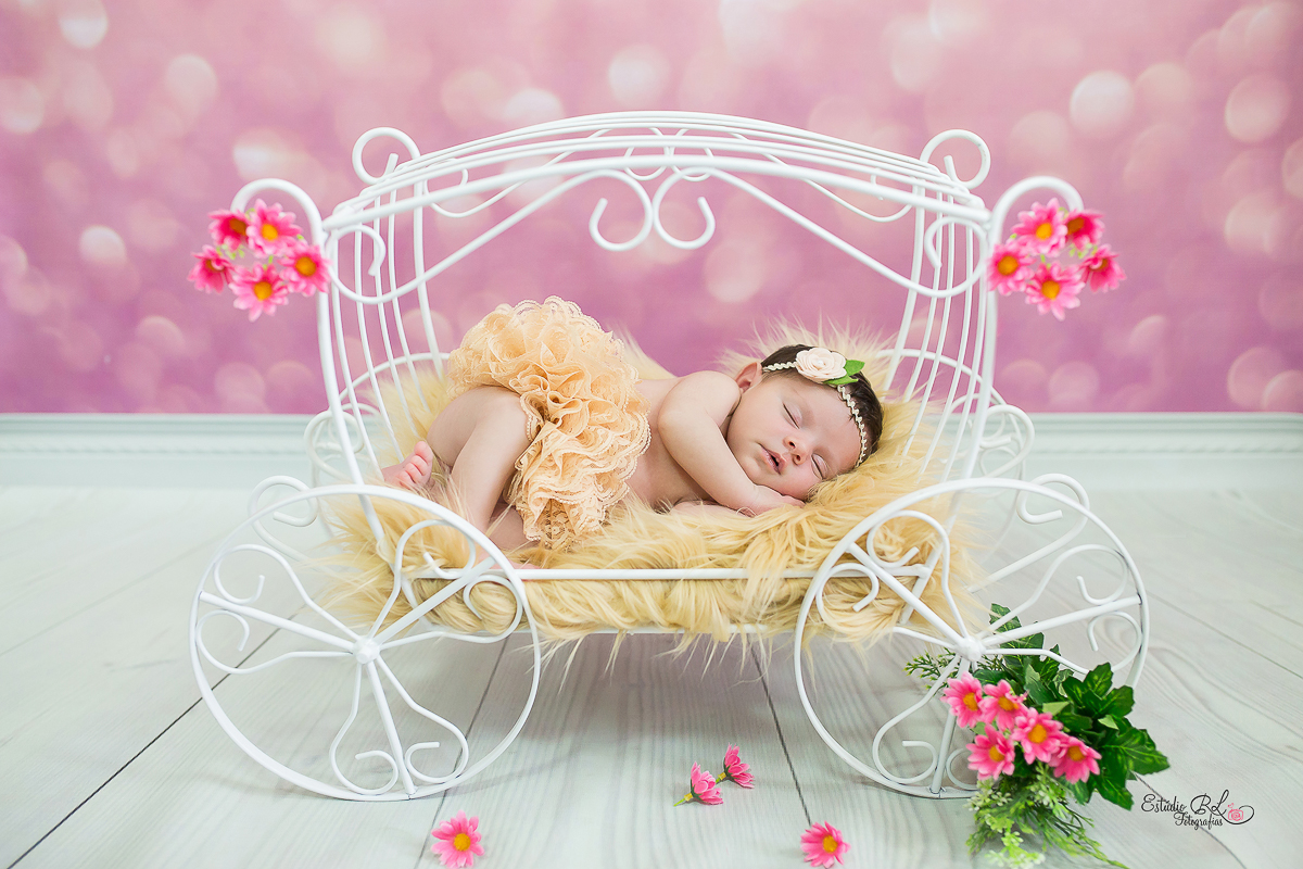 Melissa na carruagem