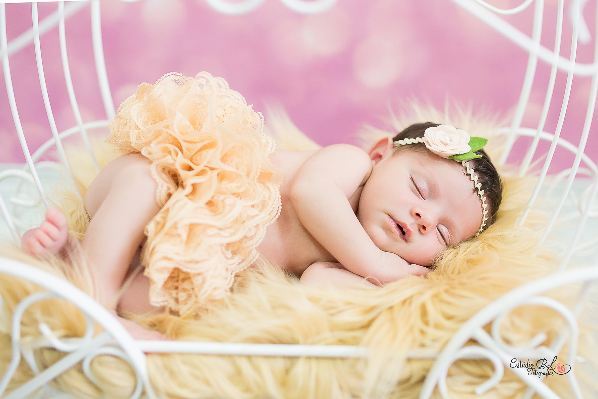 Melissa na carruagem