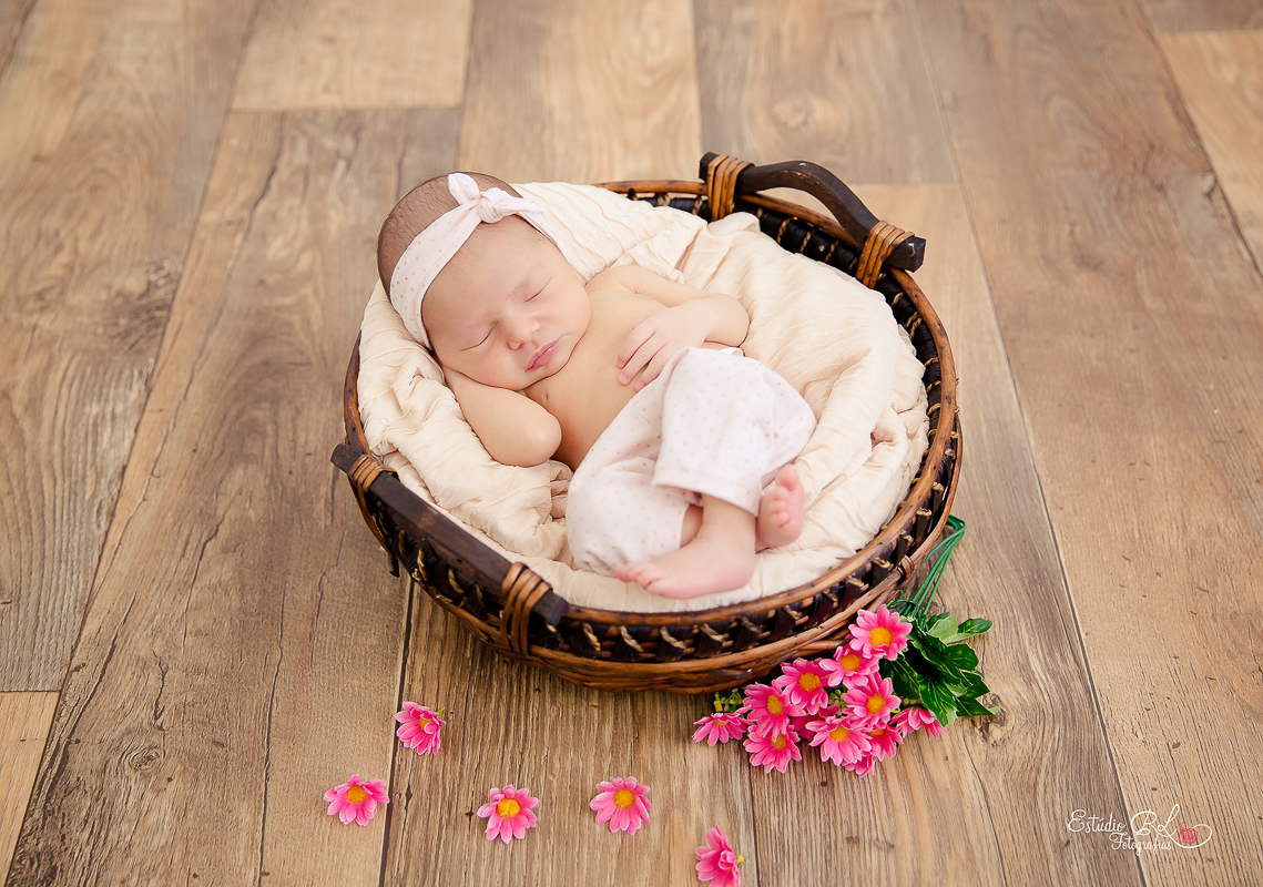 Maria Antonia no cestinho