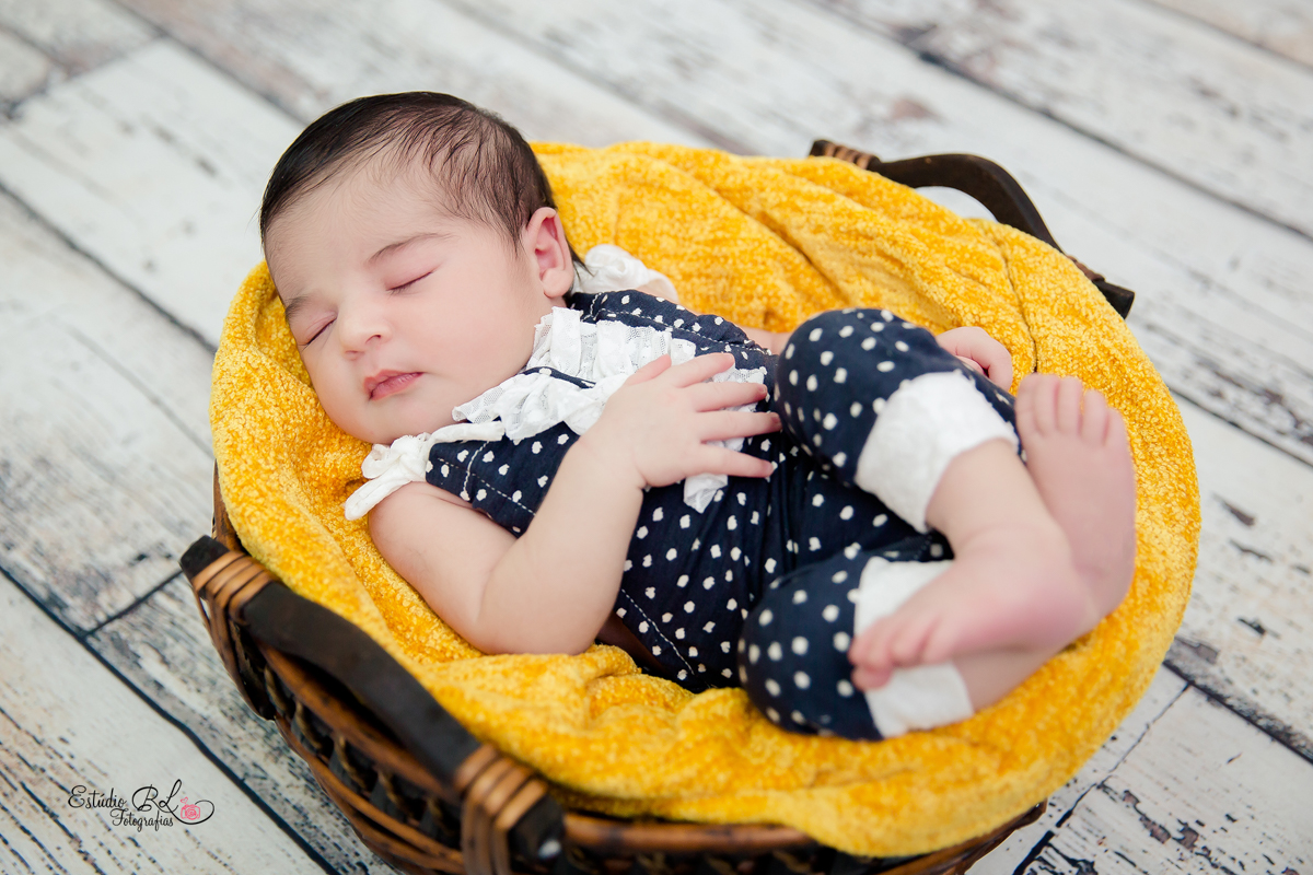 Esse cestinho os bebês adoram