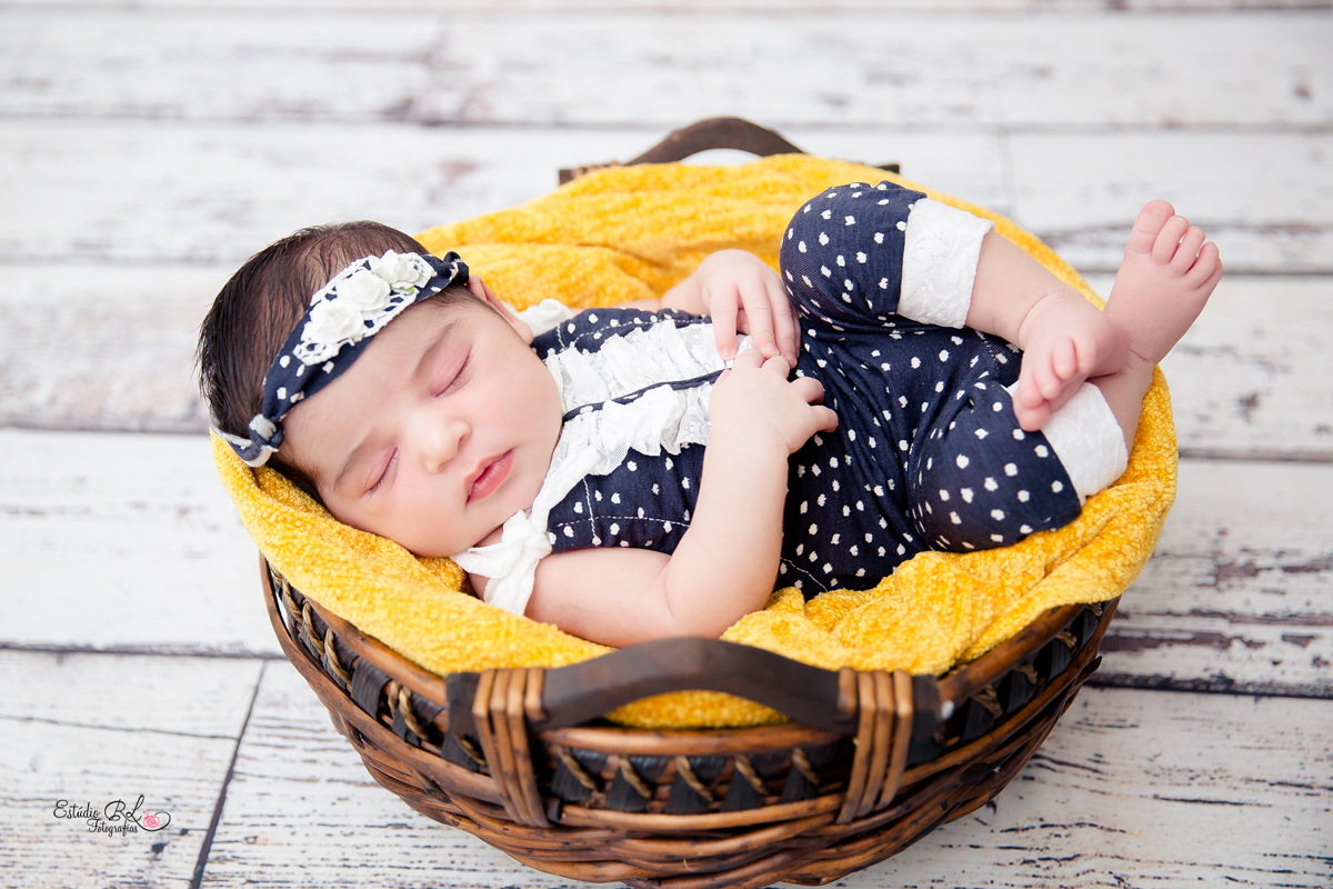 Esse cestinho os bebês adoram