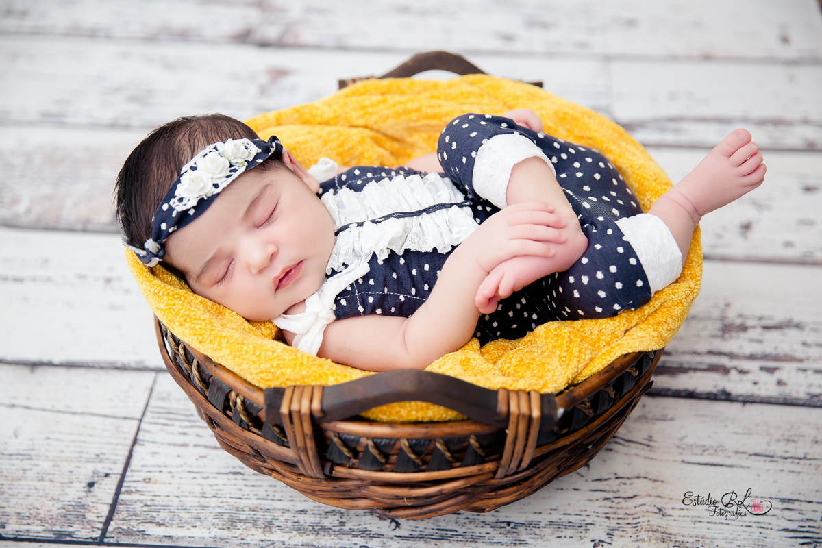Esse cestinho os bebês adoram