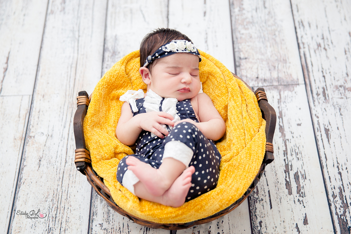 Esse cestinho os bebês adoram