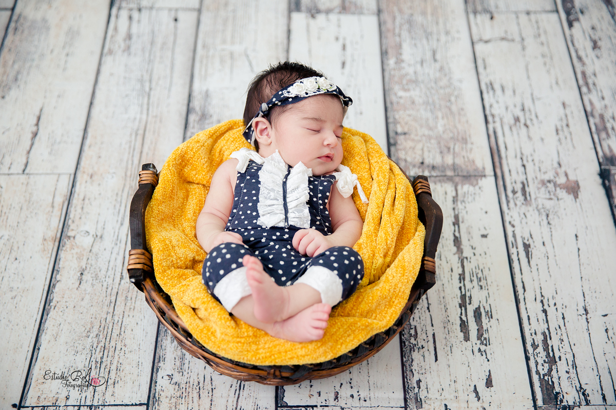 Esse cestinho os bebês adoram