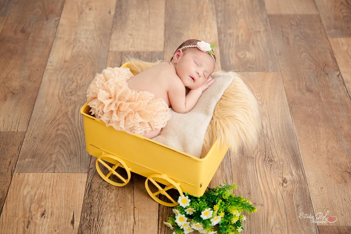 Helena no nosso carrinho novo