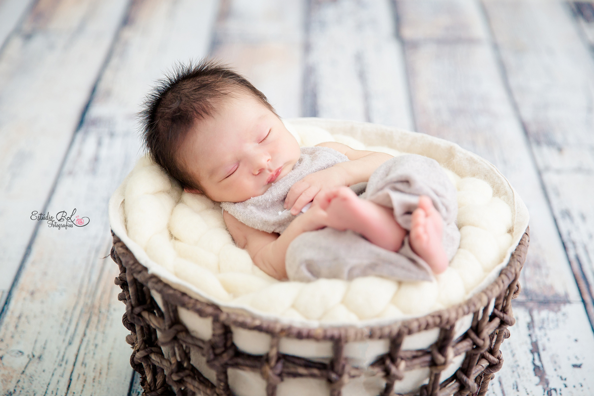 Caleb no cestinho, olha que lindo