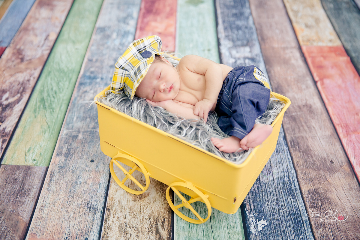 Ensaio recém nascido (newborn)