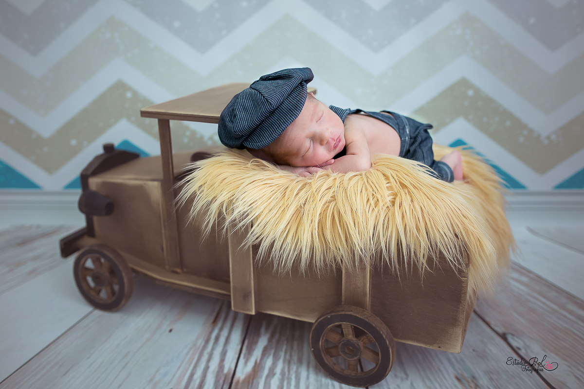 Esse carrinho faz sucesso com os bebês