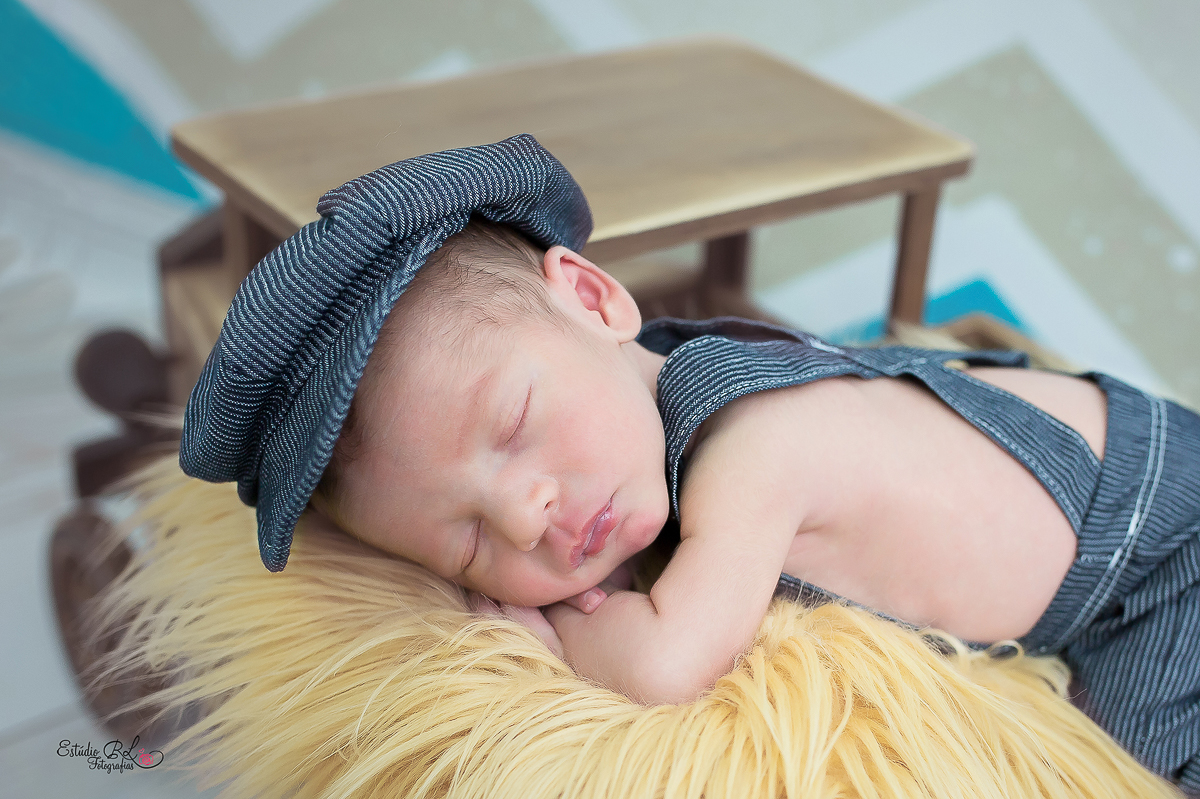 Esse carrinho faz sucesso com os bebês