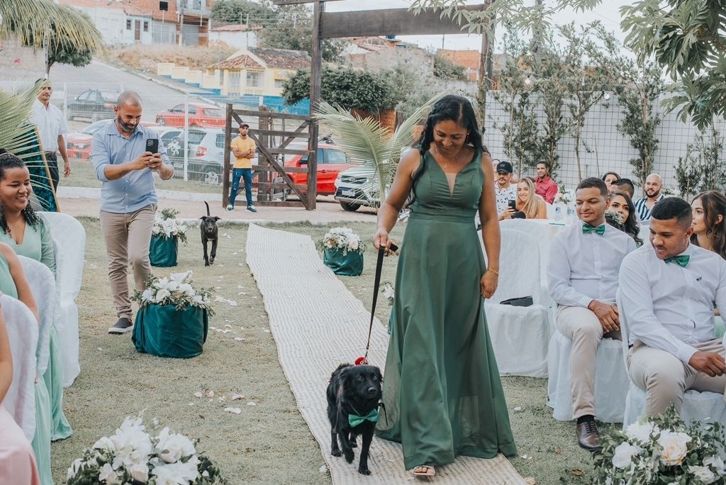 cachorro trazendo as alianças de um casamento