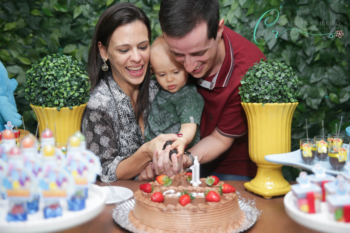 aniversário-1ano-galinha pintadinha-sp