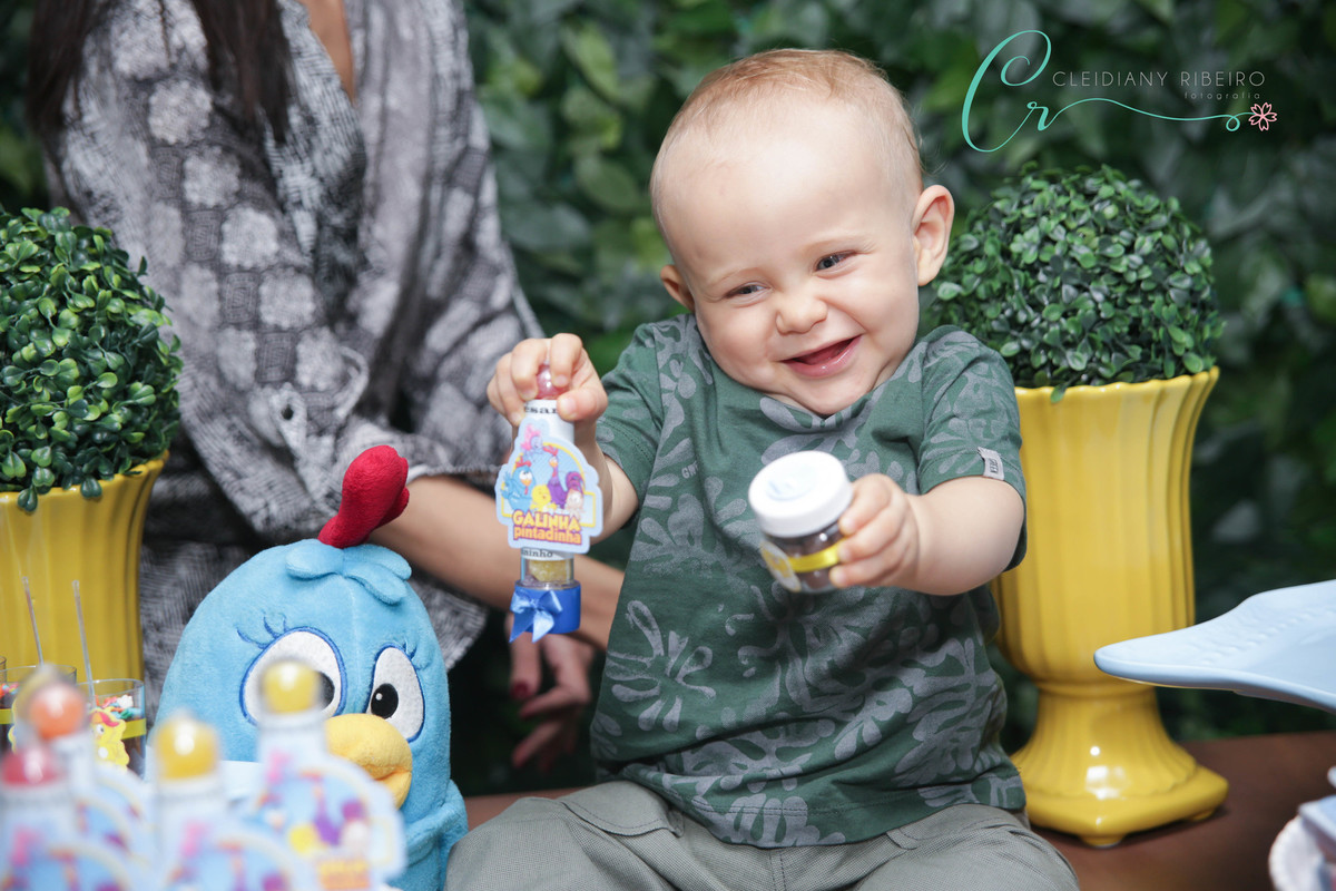 aniversário-1ano-galinha pintadinha-sp