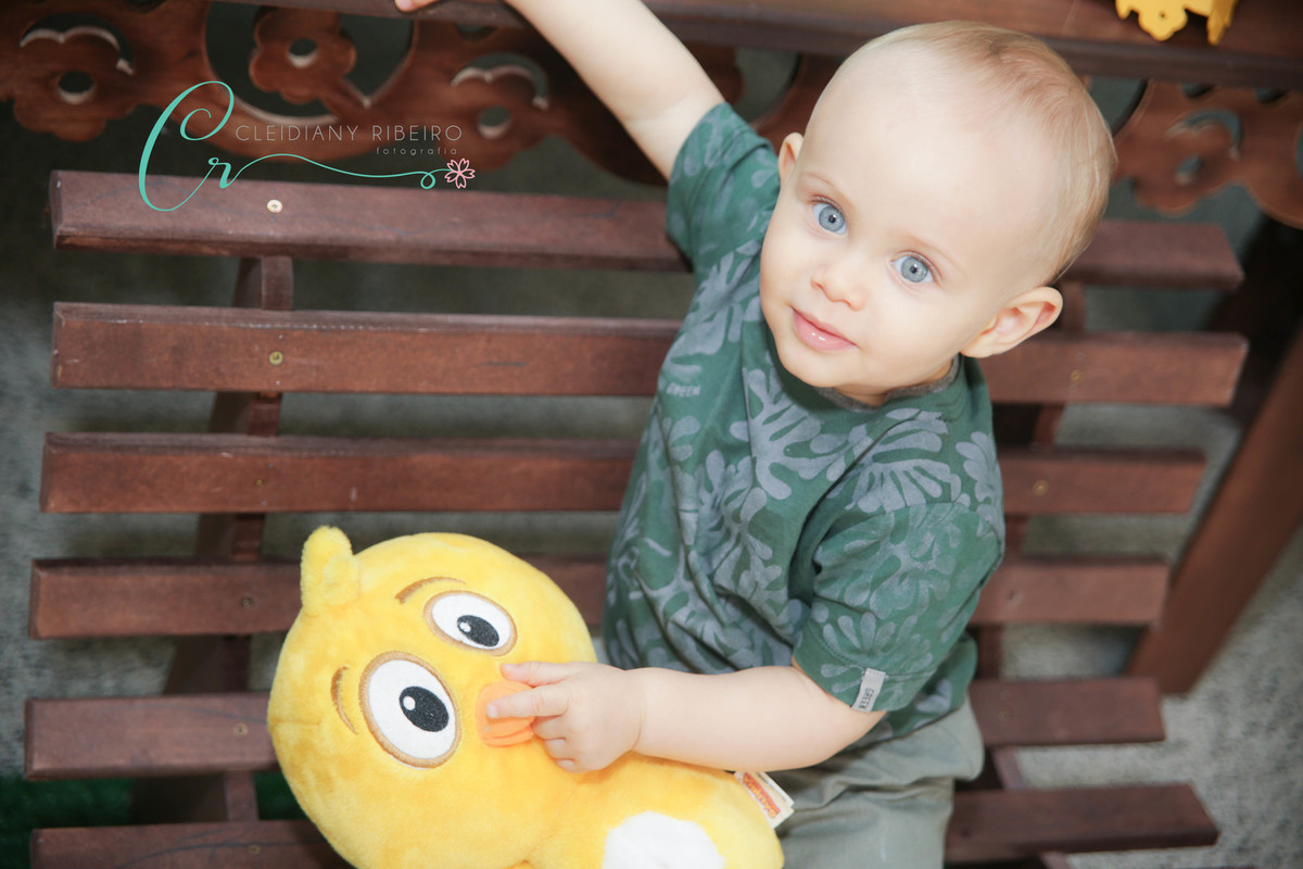 aniversário-1ano-galinha pintadinha-sp