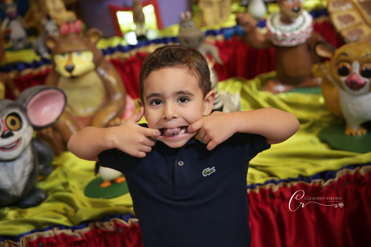 aniverário-festainfantil-fotografainfantil-cleidianyribeiro-Miguel-fotógrafa-eventos-aniverário-profissional-festa-madagascar-granja viana-são paulo-pinheiros-familia-comemoração-fotografainfantil-fotografadeaniversários-cotia-amor-mãedemenino-cleidiany