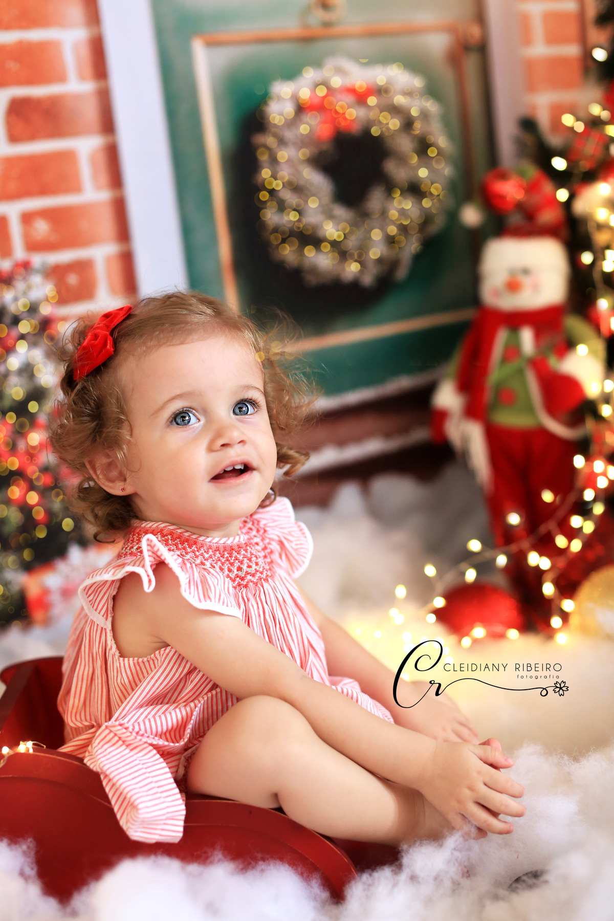 ensaio natal-natal2019-ensaio-familia-criança-acompanhamento-gestabte-ensaio gestante-ensaio infantil-aniversário infantil-bebê-recém nascido-newborn-cleidainy ribeiro-fotografia-granja viana-cotia-sp-cleidiany ribeiro fotografia-miniensaionatal-ensaio