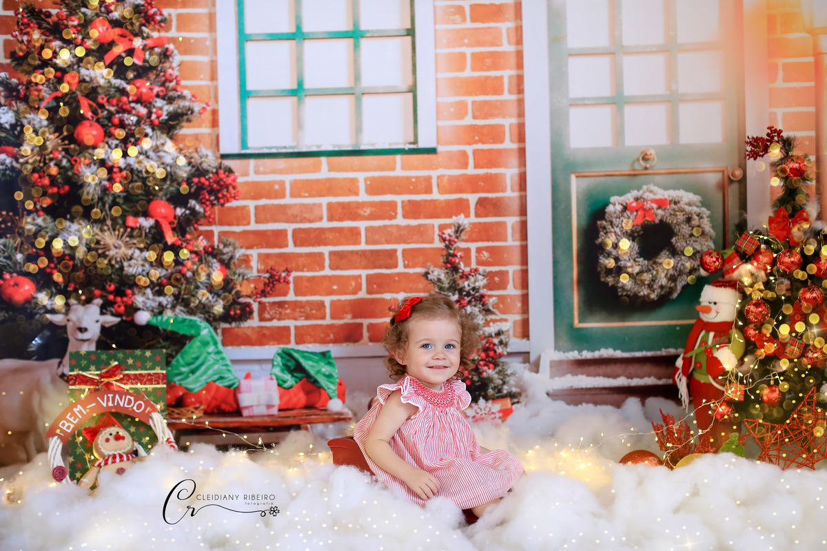 natal-ensaio de natal-natalino-ensaio-cleidiany ribeiro-ensao infantil- bebê- gestante-newborn-recem nascido-gravida-gravidez-mini ensaios-granja viana-cotia-fotografia-fotógrafa-ensaio família-criança-ensaio estudio-ensaio do bebê- aniversário infantil