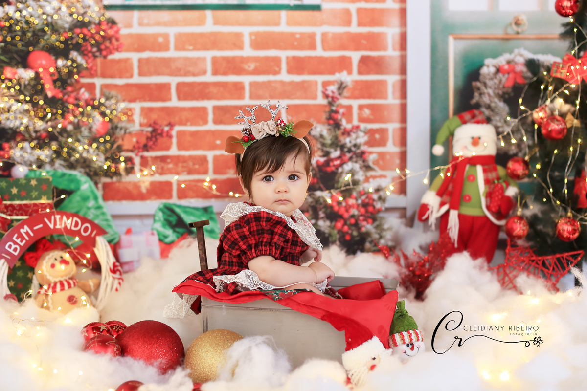 natal-ensaio de natal-natalino-ensaio-cleidiany ribeiro-ensao infantil- bebê- gestante-newborn-recem nascido-gravida-gravidez-mini ensaios-granja viana-cotia-fotografia-fotógrafa-ensaio família-criança-ensaio estudio-ensaio do bebê- aniversário infantil