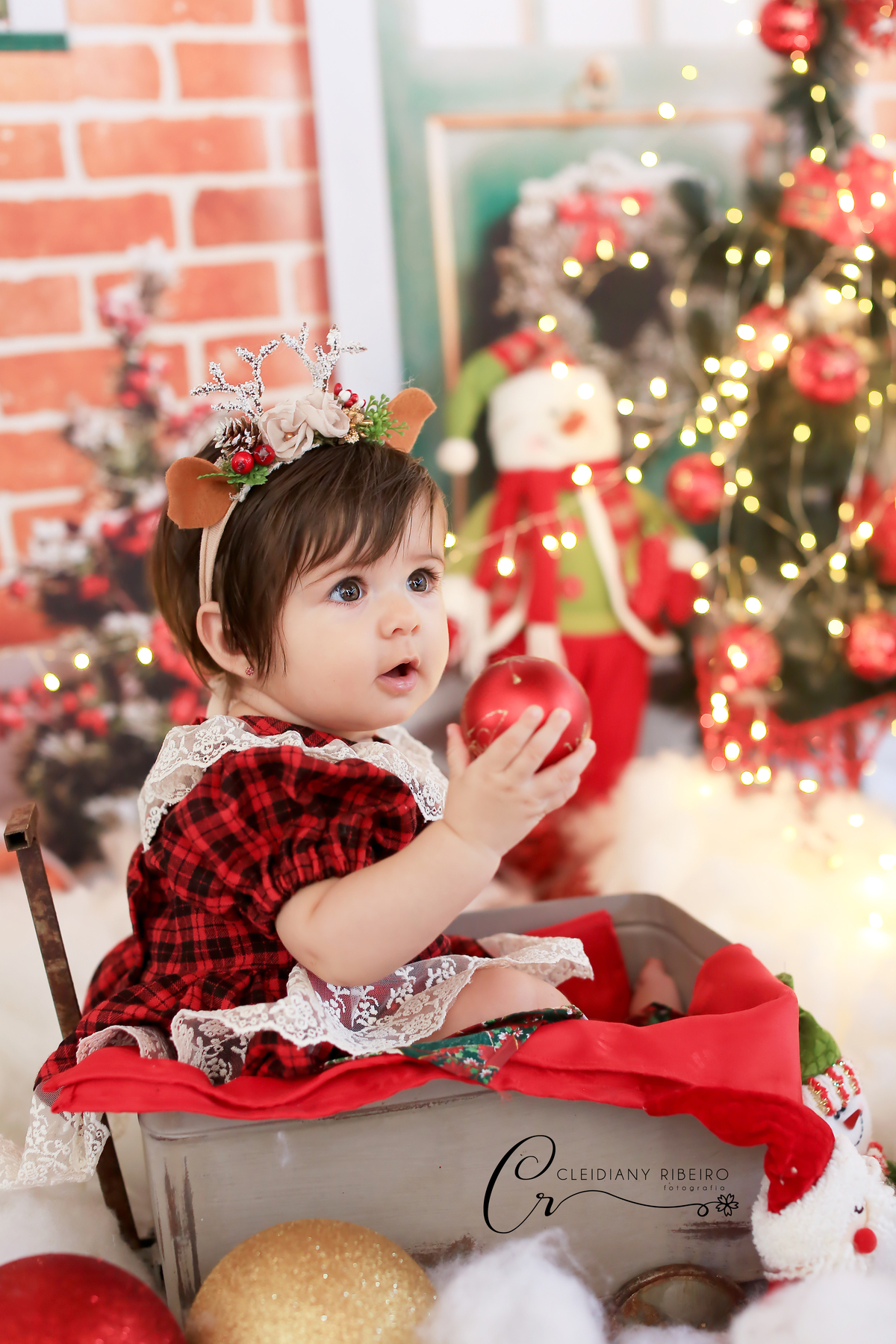 natal-ensaio de natal-natalino-ensaio-cleidiany ribeiro-ensao infantil- bebê- gestante-newborn-recem nascido-gravida-gravidez-mini ensaios-granja viana-cotia-fotografia-fotógrafa-ensaio família-criança-ensaio estudio-ensaio do bebê- aniversário infantil