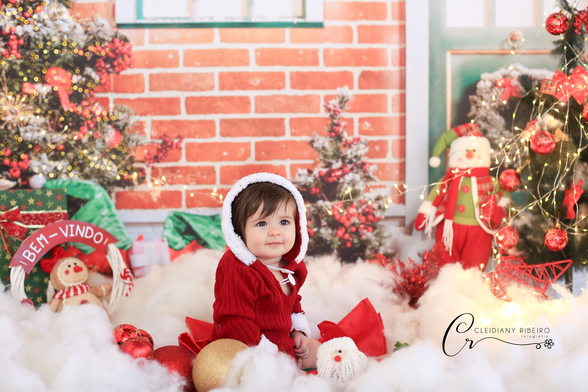 natal-ensaio de natal-natalino-ensaio-cleidiany ribeiro-ensao infantil- bebê- gestante-newborn-recem nascido-gravida-gravidez-mini ensaios-granja viana-cotia-fotografia-fotógrafa-ensaio família-criança-ensaio estudio-ensaio do bebê- aniversário infantil