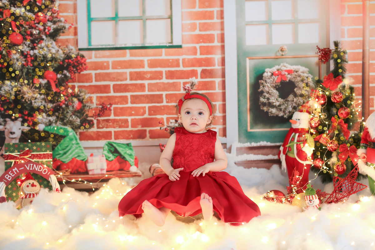 natal-ensaio de natal-natalino-ensaio-cleidiany ribeiro-ensao infantil- bebê- gestante-newborn-recem nascido-gravida-gravidez-mini ensaios-granja viana-cotia-fotografia-fotógrafa-ensaio família-criança-ensaio estudio-ensaio do bebê- aniversário infantil