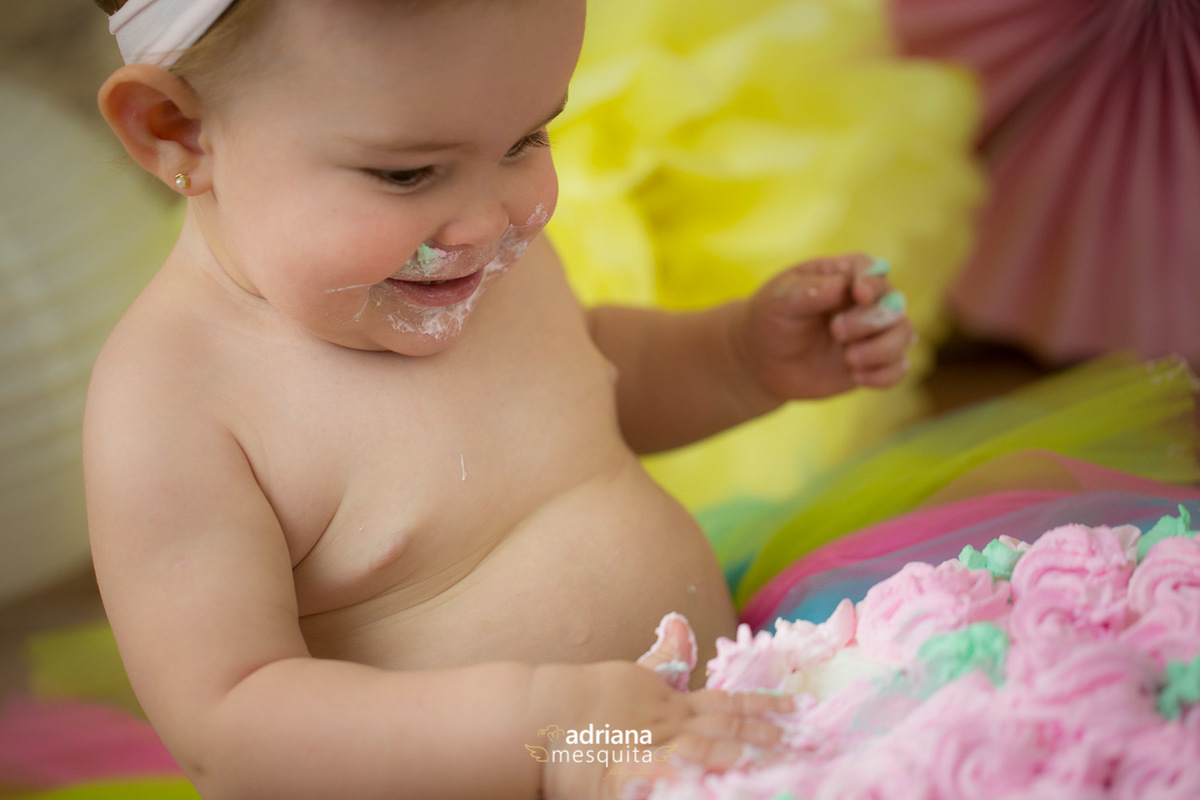 foto estúdio smash the cake