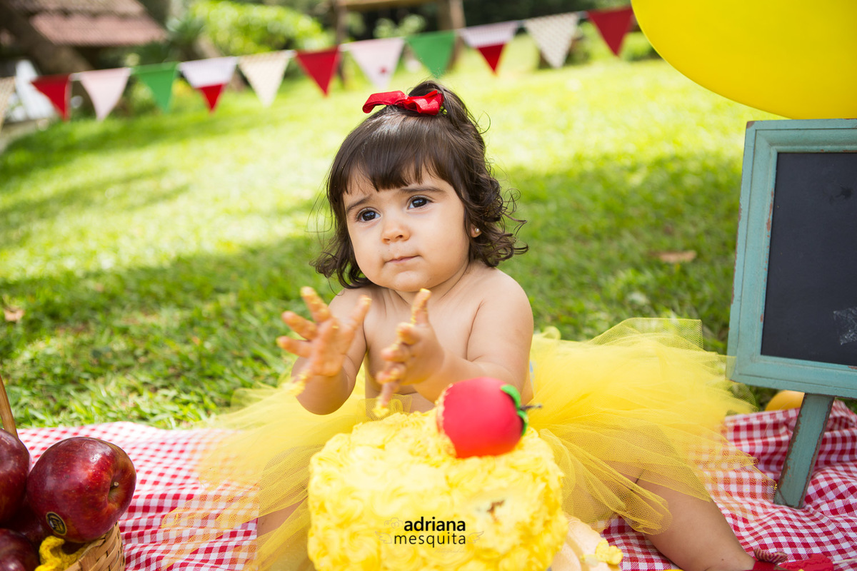 smash the cake fura bolo aniversário 1 ano antonella adriana mesquita