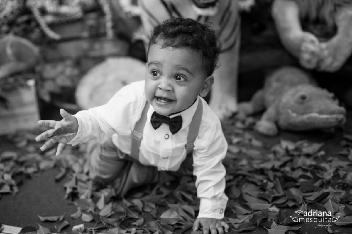 Aniversário do João Lucas ao estilo Safari by a fotografo Adriana Mesquita