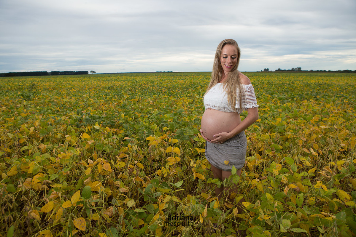 plantação de soja na floresta do Lobo, Uberlândia