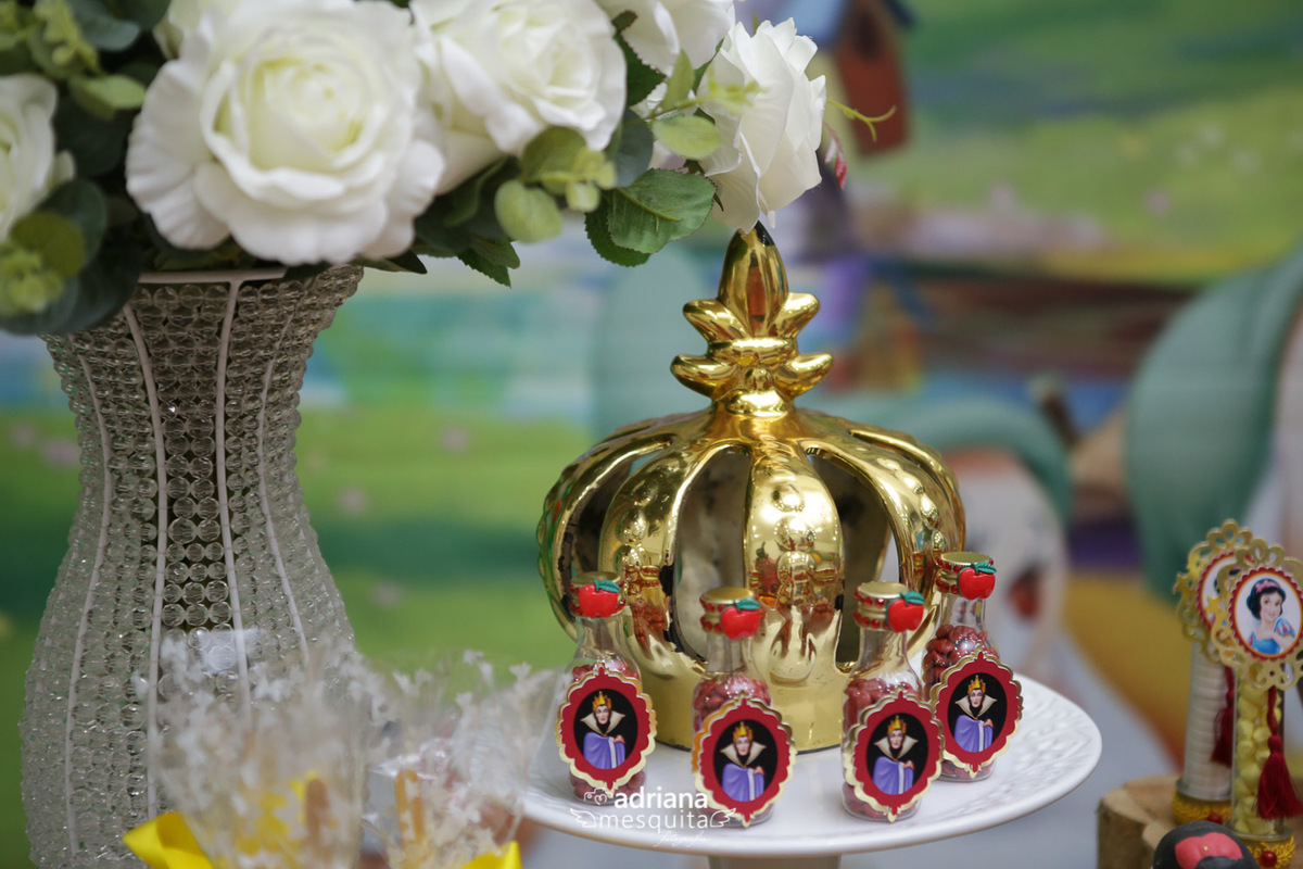 aniversário branca de neve fotografo em uberlandia maria festeira jessiane jefferson maria julia