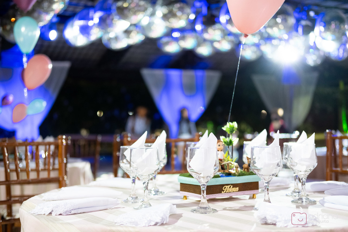 aniversário infantil helena catalão 1 aninho festa de luxo