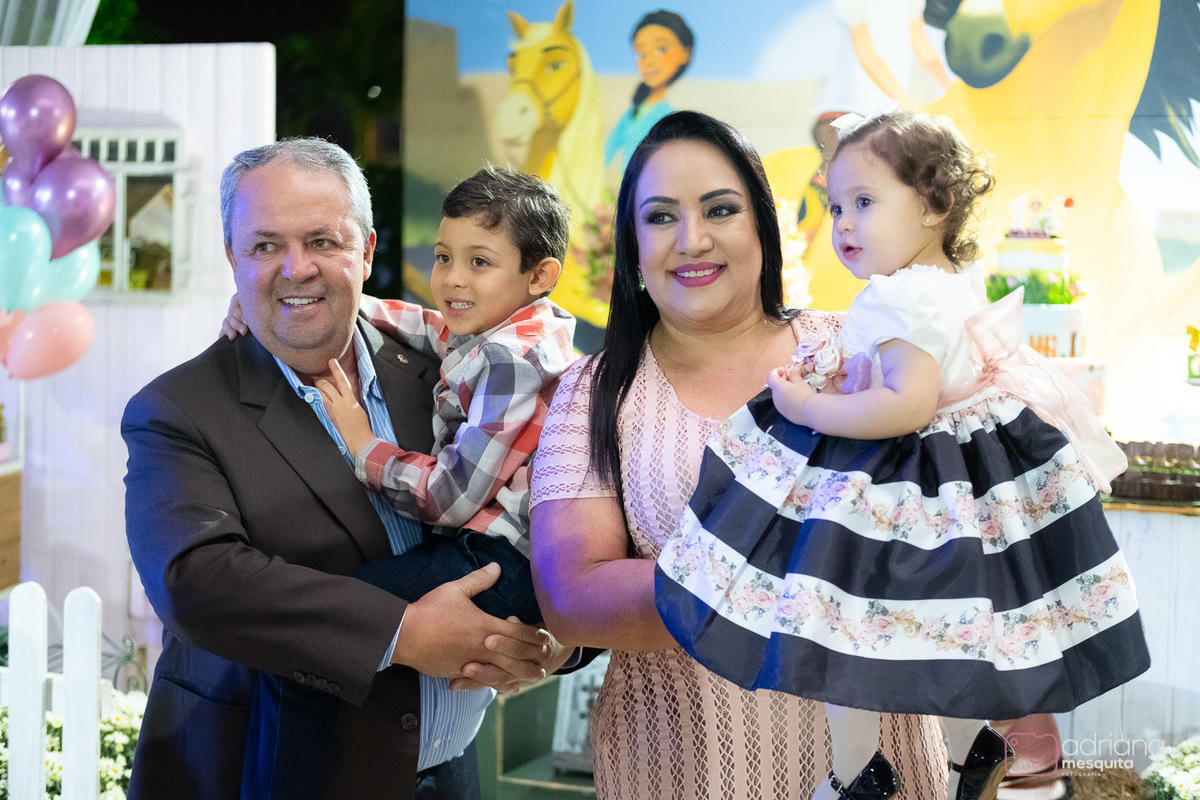 aniversário infantil helena catalão 1 aninho festa de luxo